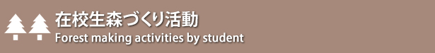 在校生森づくり活動