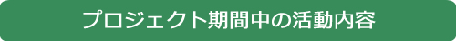 プロジェクト期間中の活動内容