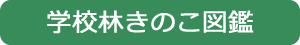 学校林のきのこ図鑑