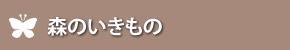 森のいきもの