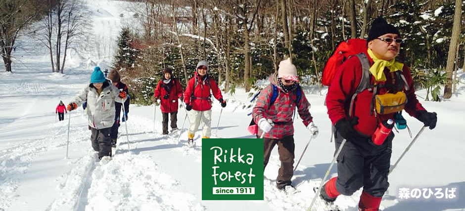 札幌南高等学校林02