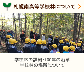 札幌南高学校林について
