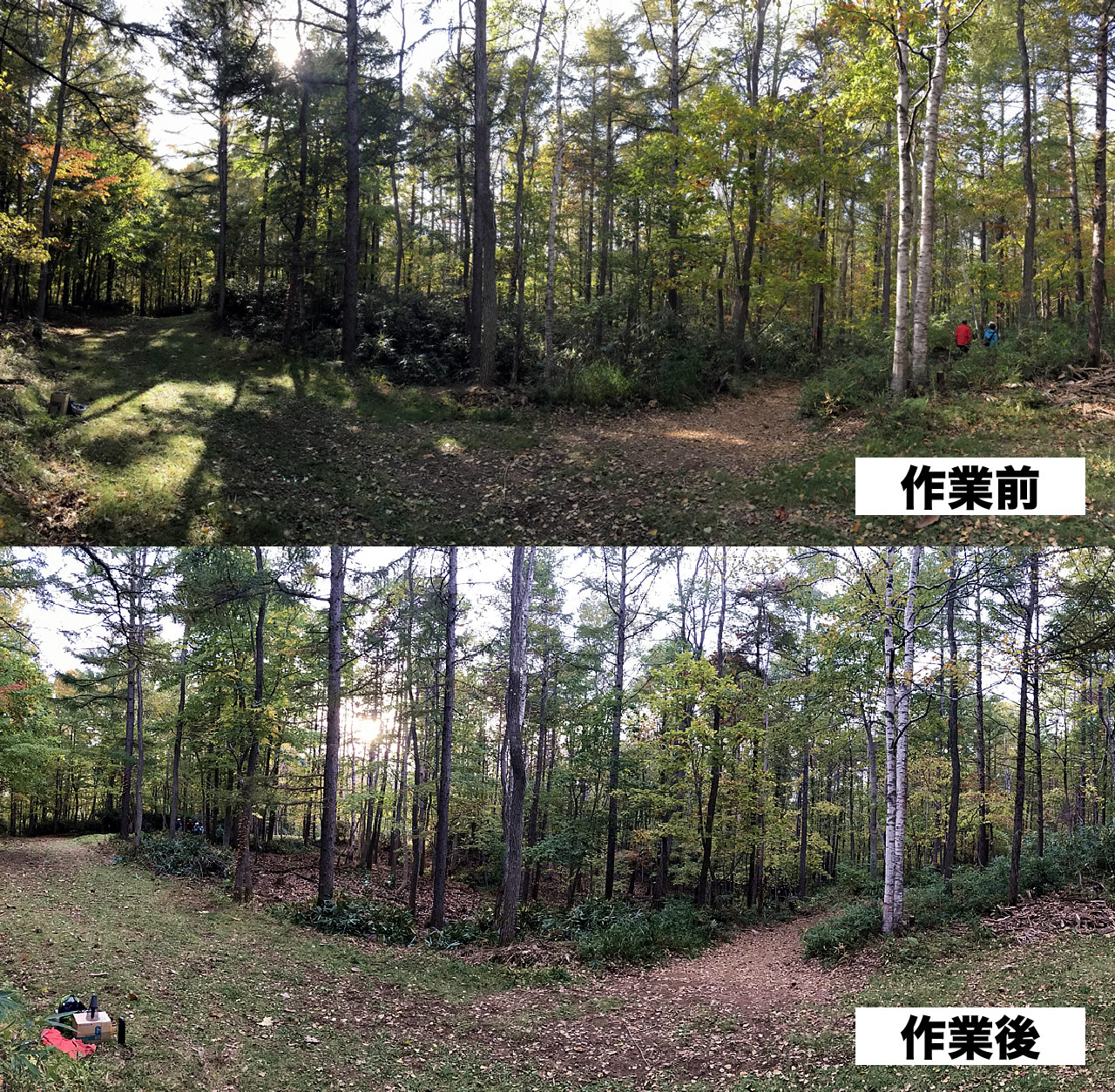 http://www.rikka-forest.jp/report/images/moridukuri2018_01.jpg